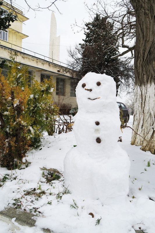Снежный страж науки