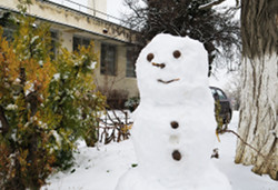 Снежный страж науки