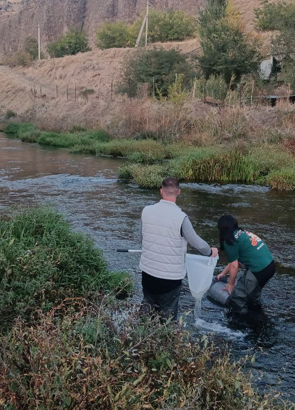 Визит в Армению
