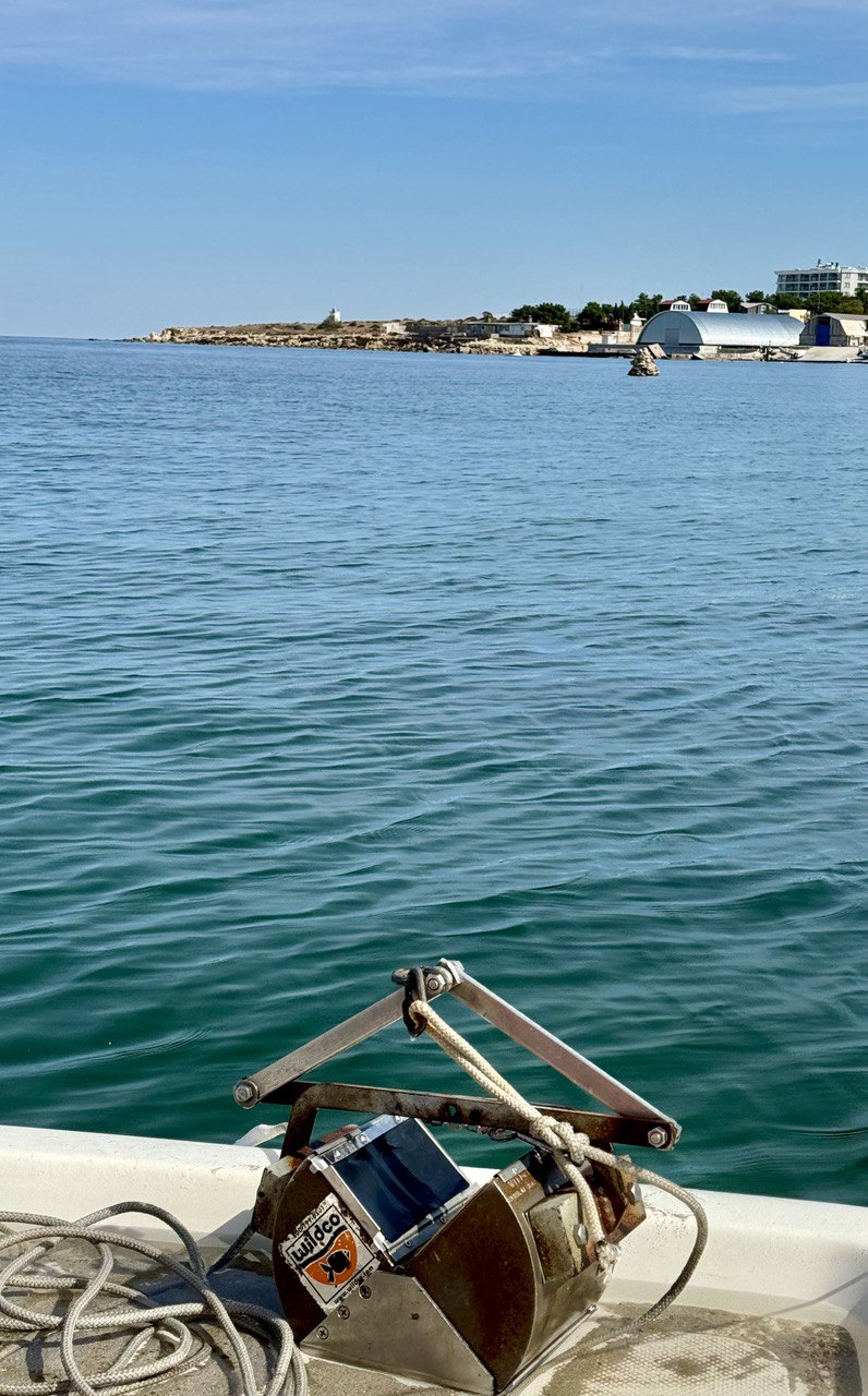 Донные отложения в бухте Круглая