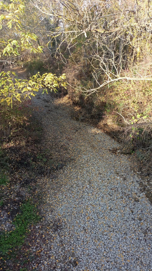 Исследования морских устьев рек юго-западного Крыма в 2025 г.