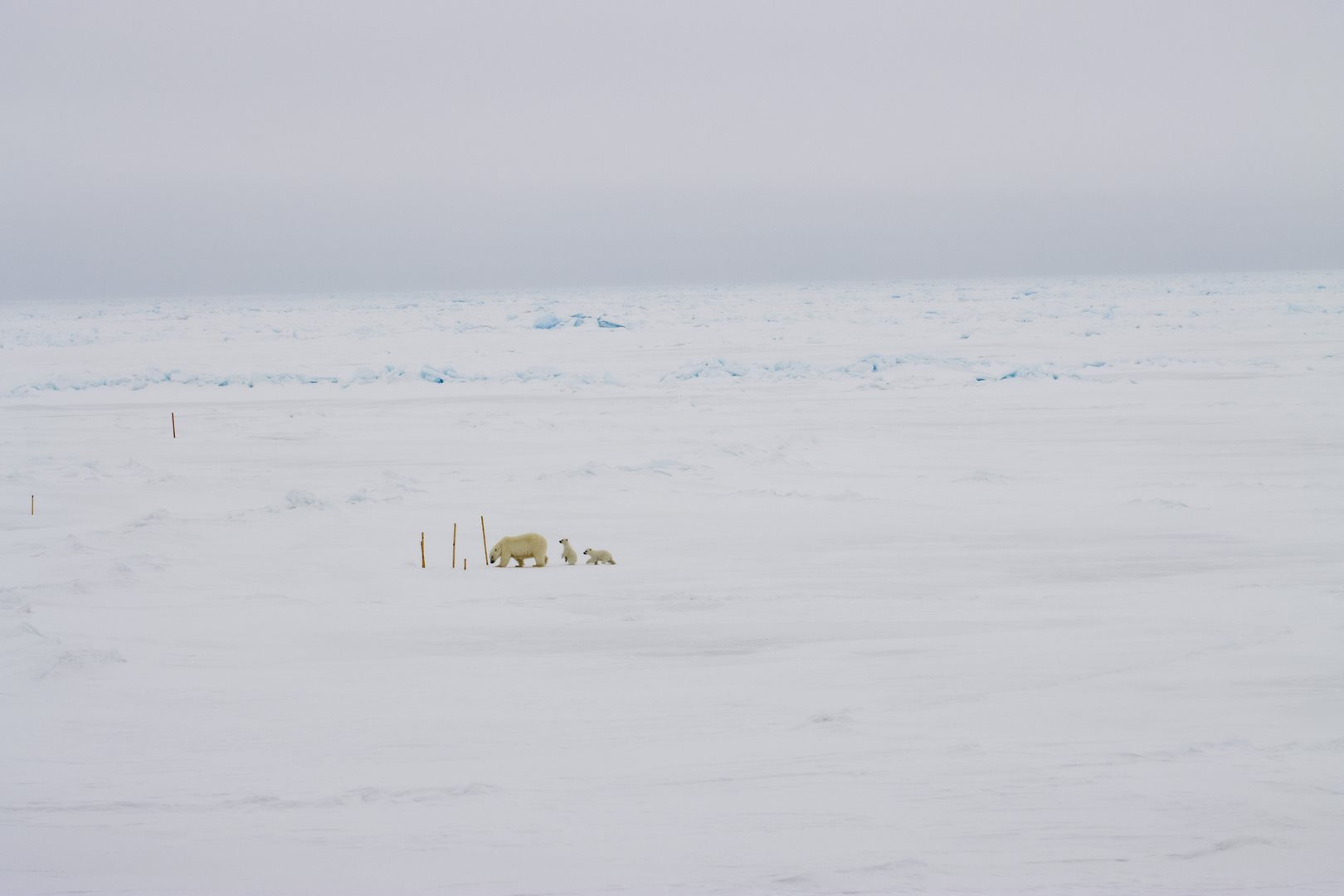 Дрейфующая станция «Северный полюс-42»
